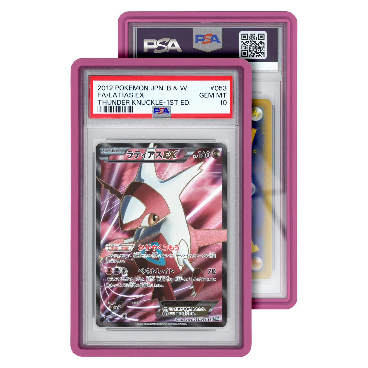 Graded Guard Standard Case (PSA)